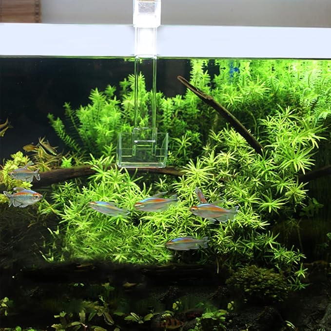 Sky Restaurant Aquarium Fish Feeder - Prevent Food Spilling, Easy to Clean, Betta & Dwarf Frogs Feeding(S)