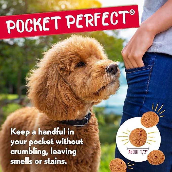 Charlee Bear Crunchy Dog Training Treats, Low Calorie (3 Kcal), Grain Free Natural Mini Treats for Puppies, Small, Medium & Large Dogs, USA Made, Healthy Chicken, Pumpkin & Apple Flavor 8oz (3-Pack)