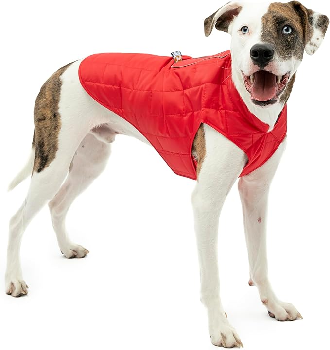 Kurgo Loft Dog Jacket - Reversible Cozy Coat for Outdoor Adventures - Water Resistant - Athletic Fit - Machine Washable Fabric - Reflective Dog Gear - Medium - Chili Red