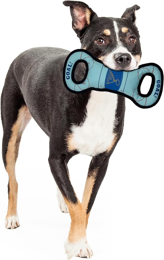 Pets First NHL St. Louis Blues Ice Hockey Rink PET Toy with Inner Squeaker. A Tough Toy for Dogs & Cats with Exciting Hockey Graphics, Gorgeous Team Logo & Double Stitch Trims