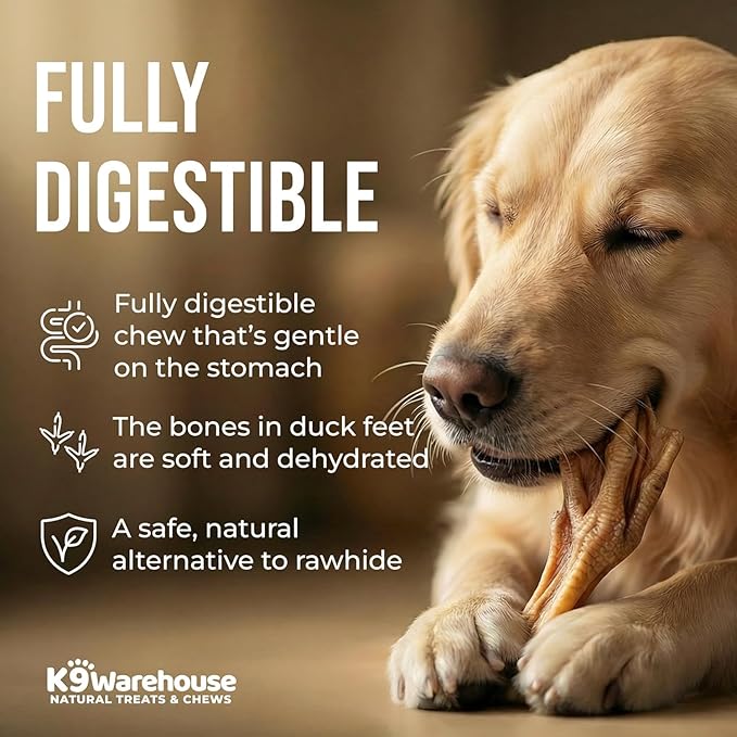 K9warehouse Duck Feet for Dogs – High Protein Dehydrated Dog Treats, Natural Crunchy Chews with Collagen, Glucosamine & Chondroitin for Joint & Hip Health, Dental Care, Small to Large Breeds (30 pcs)