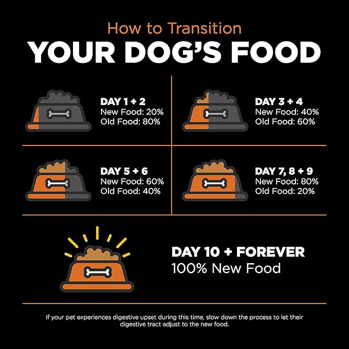 Go! Solutions Skin + Coat Care Salmon Dry Dog Food with Grains, Chicken-Free, Healthy Kibble with Omega-3s & 6s for Soft, Shiny Fur, for Puppies, Adults, & Seniors, 22 lb Bag
