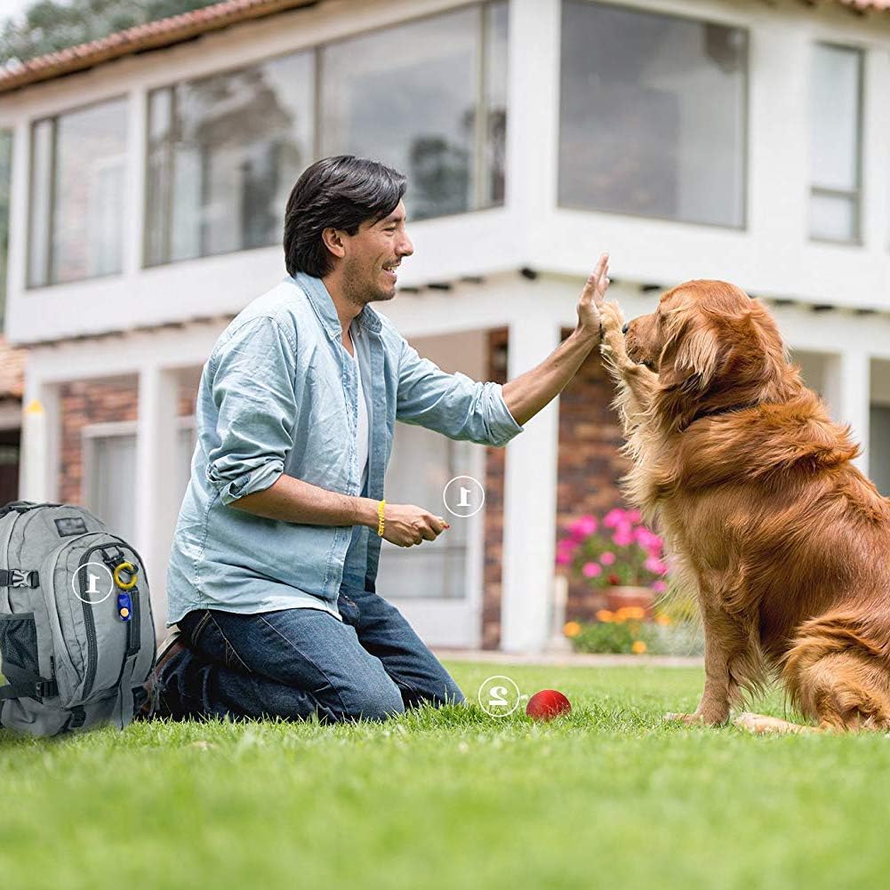 Rocutus 10-Piece Colorful Pet Training Clickers with Wrist Strap - Train Dogs, Cats, Horses & More