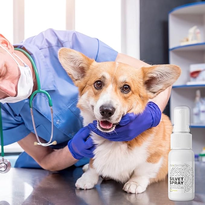 NEXDERMA Antiseptic Pet Medicated Itch Relief Hot Spot Spray for Dogs & Cats | First Aid Skin, Rashes and Sores | Wounds Treatment - 25ml, Pack of 1