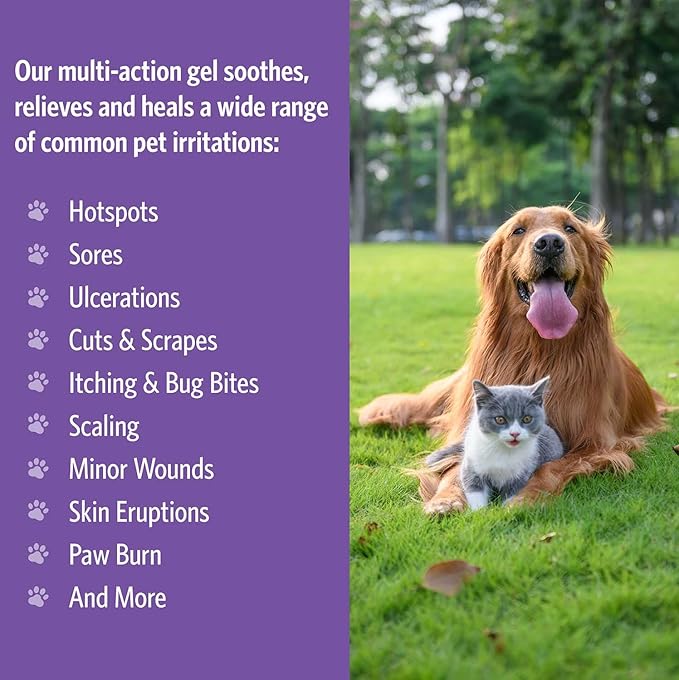 Sovereign Silver First Aid Gel for Pets - Topical Healing for Dogs and Cats, 1oz Pump Gel
