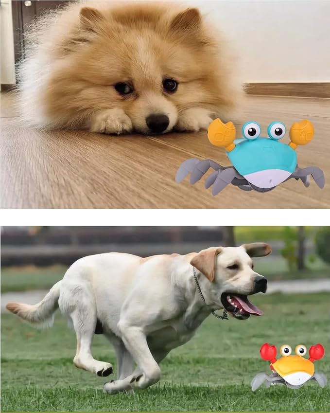 Crawling Crab Dog Toys with Obstacle Avoidance Sensor & Music Sounds, Lights for Dogs, Dancing Crab Toys Gifts for Puppy Small Medium