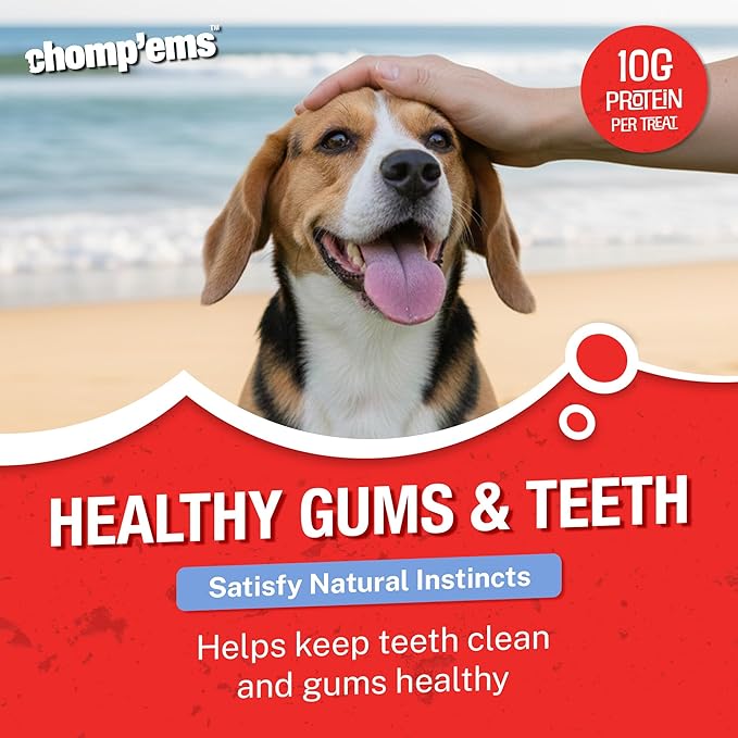 CHOMP 'EMS Five Flavor Kabobs Dog Treats - Beefhide Chewstick - High Protein Dog Chews, 24 Count, 16 oz,454g