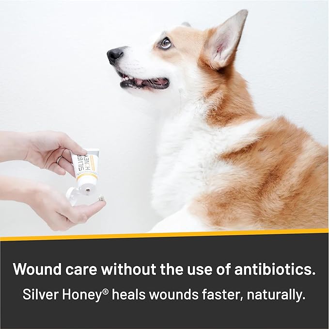 Absorbine Silver Honey Hot Spot & Wound Care Ointment for Dogs, Cats, Small Animals, 2 oz Tube Twin Pack
