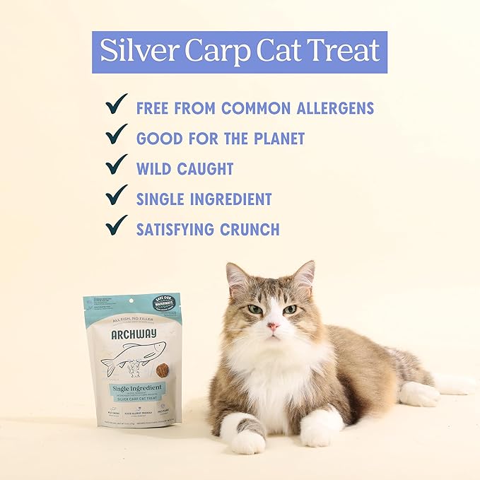 ARCHWAY Dehydrated Silver Carp Cat Treats - Omega-Rich Wild Caught Fish - High Protein, Simple Ingredients Healthy Cat Snacks - Hypoallergenic, Gluten-Free - USA Made (2.5 oz)