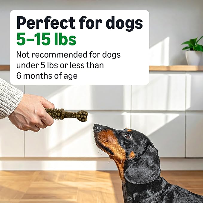 Amazon Basics Dental Dog Treats to Help Clean Teeth & Freshen Breath - Tiny (5-15 lbs), Unflavored (Previously Wag) (Pack of 2)