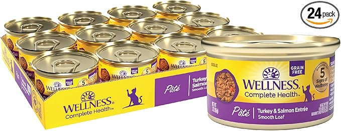 Wellness Complete Health Pate Adult Canned Wet Cat Food, Natural, Protein Rich, Grain Free, Turkey and Salmon Dinner Recipe, 3 oz, Pack of 24 Cans