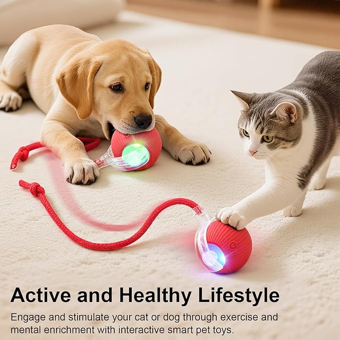Interactive Cat Ball Red
