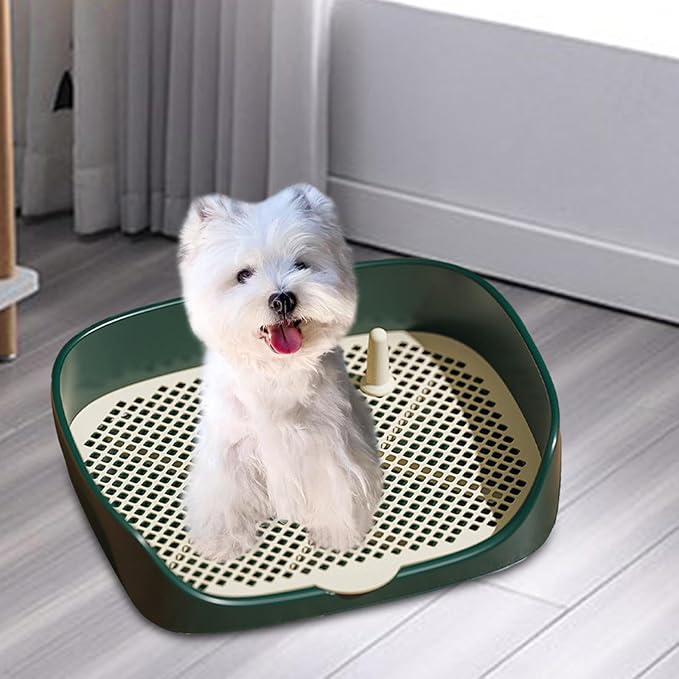 Pet Dog Toilet Puppy Training Potty Tray Portable for Cat Training Pad Holder with Protection Wall Litter Box Trainer Corner, Green L