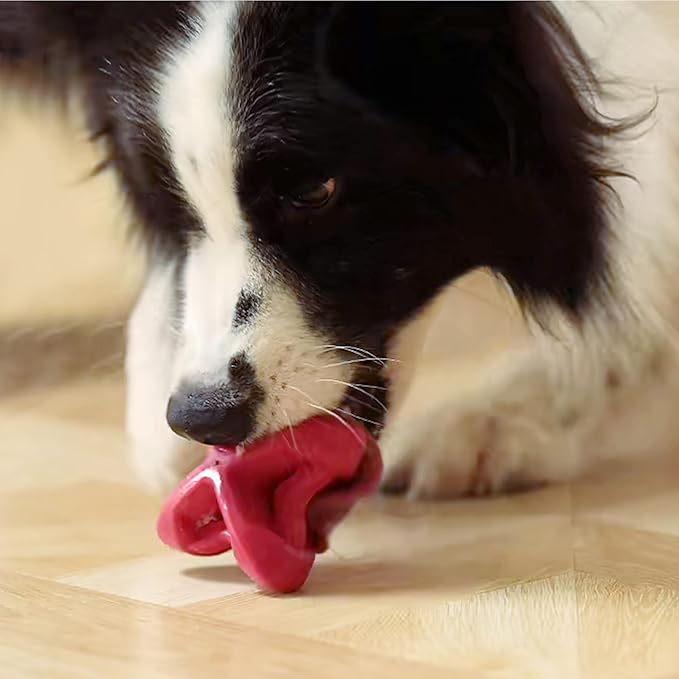 PetDreamHouse Chewtastic Geometrics Natural Rubber Enrichment Dog Toy Geo-AstroRolly Red, Engaging Rolling and Unpredictable Bounce, Stuffable, Fun to Chew and Fetch