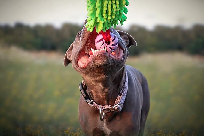 Dingo tug Toy for Dog, for Outdoor Indoor Play and tug of war, Bungee Handle, Soft Shaggy Nubby Like Plush Noodle and TPR Rubber Ball, Green 15589