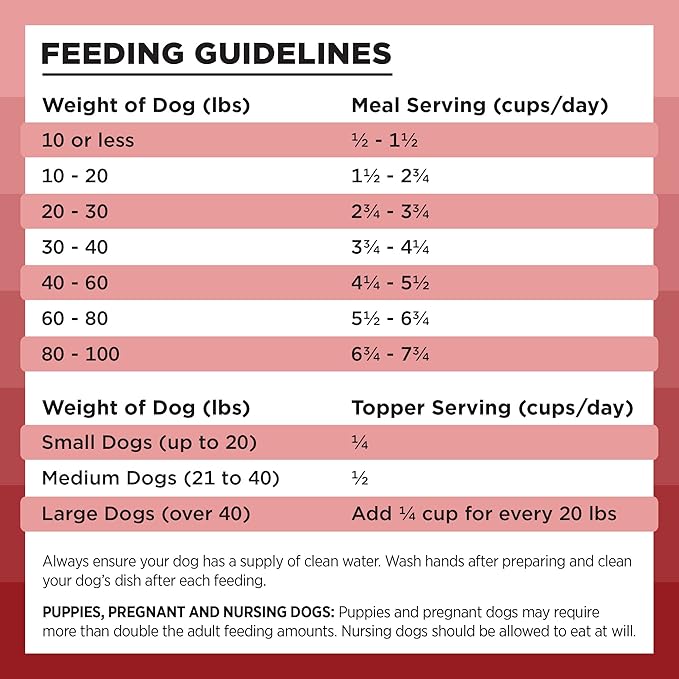 BIXBI Liberty Freeze-Dried Dog Food Topper & Treats, Beef – 98% Meat & Organs, No Refrigeration – USA Made, 26 oz