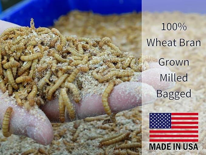 Snout and Shell Mealworm Wheat Bran Bedding and Food Source