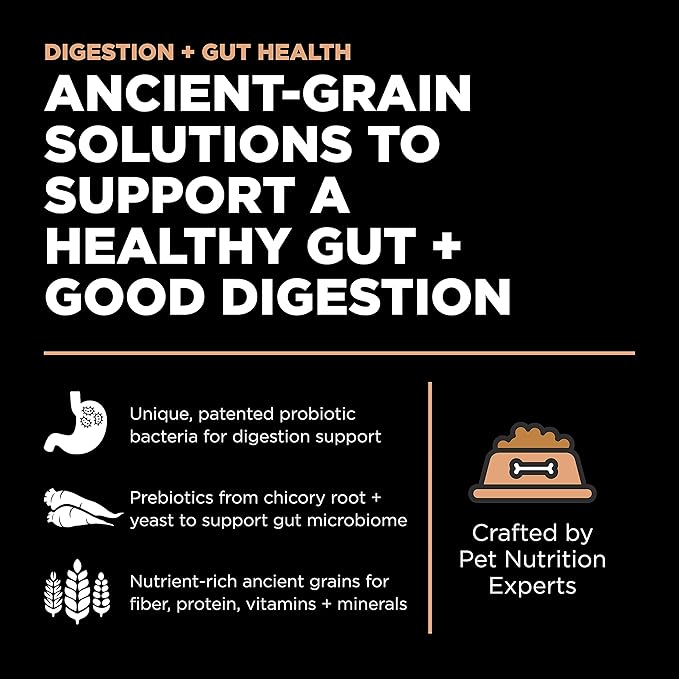 Go! Solutions Digestion + Gut Health Salmon Dry Dog Food, Premium Chicken-Free Kibble for Gastrointestinal & Digestive Wellness, Supports Sensitive Stomachs, for Puppies, Adults & Seniors, 12 lb Bag