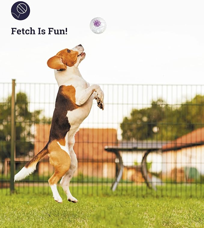 Petstages Nubbiez Treat and Squeak Ball Dog Toy