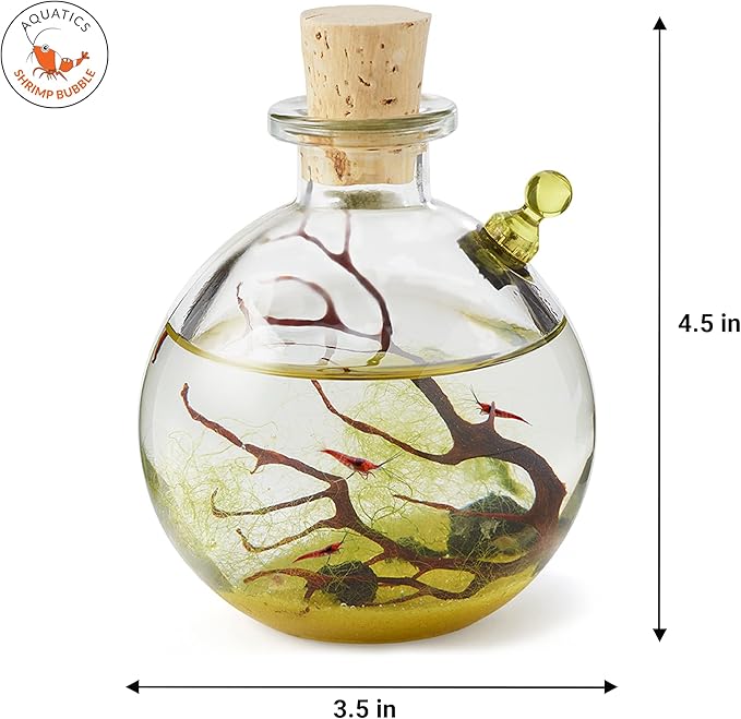 Shrimp Bubble Self-Sustaining Ecosystem