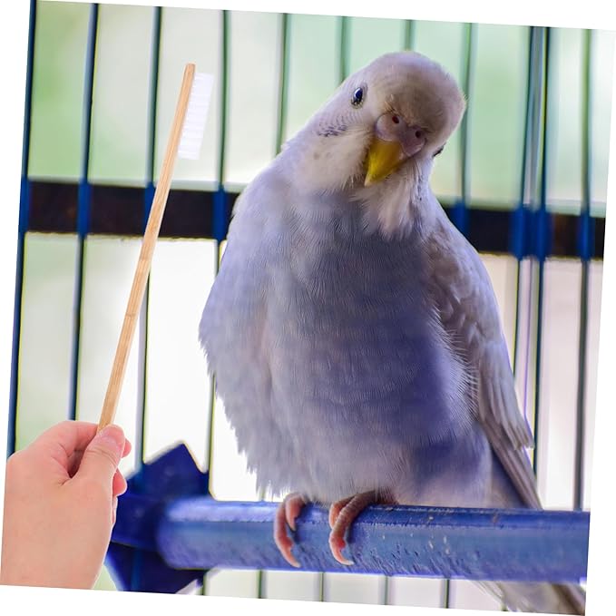 2pcs Bird Cage Cleaner Brush Set Droppings Shovel Durable Pet Bird Supplies for Easy Cleaning of Small Animal Cages Reliable Tools for Healthy Environment
