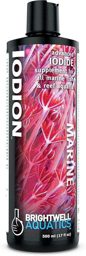 Brightwell Aquatics Iodion Iodide Supplement for Corals Clams Fish Macroalgae Enhances Polyp Extension Lighting Tolerance in Reef Marine Aquariums, 500 ml