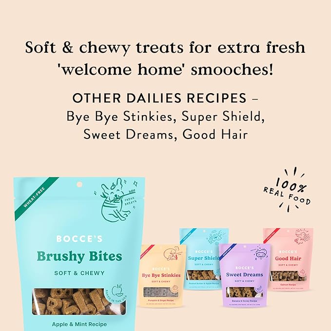Bocce's Bakery Dailies Brushy Bites Dog Treats for Wellness Support, Wheat-Free Dog Treats, Made with Real Ingredients, Baked in The USA, Natural Soft & Chewy, Apple & Mint Recipe, 6 oz