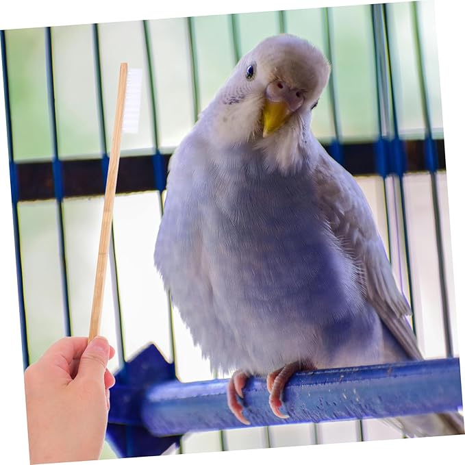 Happyyami 2pcs Birdcage Cleaning Brush Set Efficient Dropping Scoop and Brush for Small Animal Cages Bird Cage Accessories for Maintaining Clean Environment