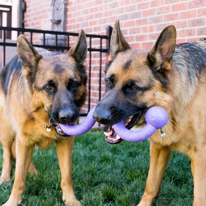 Kong Company 38747711: Ogee Stick Dog Toy, Md