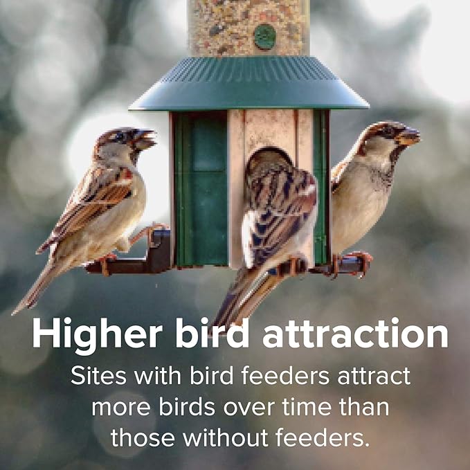 Blue Seal Song Maker Supreme Wild Bird Seed | High Energy Mix, No Fillers | Attracts Wide Variety of Wild Outside Birds | Convenient Shell-Free Mix | Made in USA | 20 Pound Bag