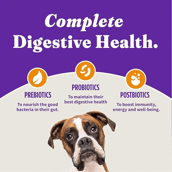 Halo Holistic Dog Food Cage Free Chicken & Brown Rice Formula, Healthy Grains Dry Dog Food, Complete Digestive Health, Kibble for Adult Dogs, 3.5 lb Bag