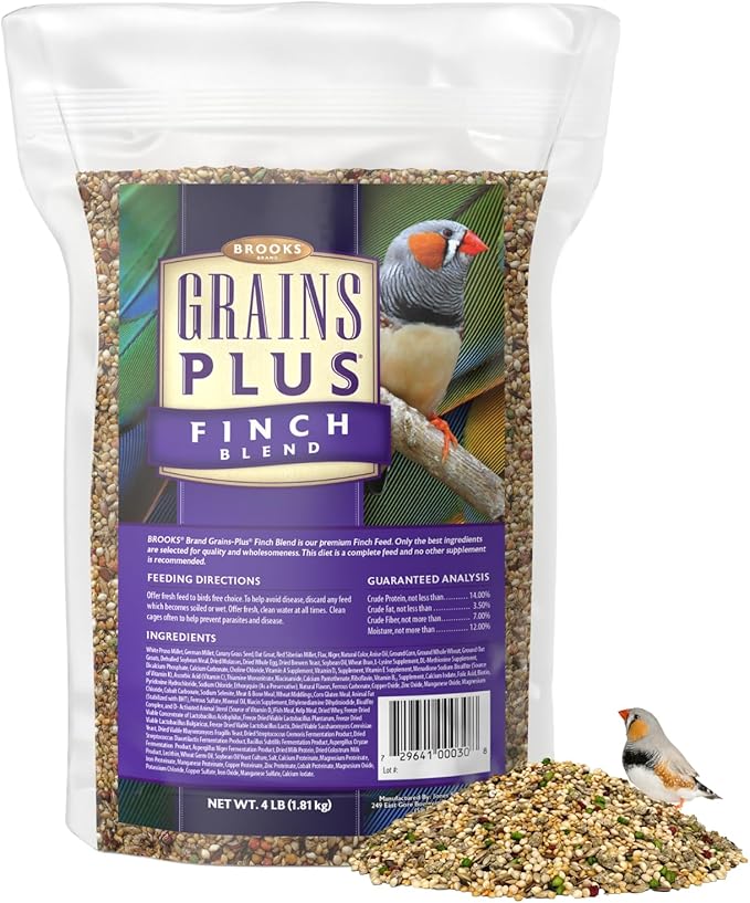 Brooks Brand Grains Plus Finch Blend Bird Food, Nyjer Seeds, Finches Bird Seed Mix, Gold Finch Niger Seeds for Birds, Finches Food for Indoor Birds (4 lbs)