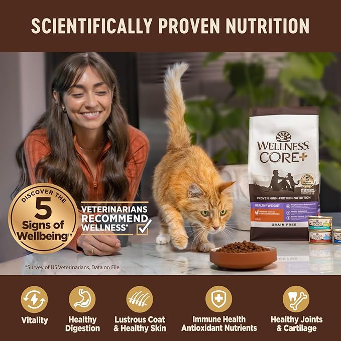 Wellness CORE+ Digestive Health Adult Dry Cat Food, Natural, Wholesome Grains Kibble, Salmon and Rice Recipe, 11 lb Bag