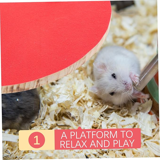 Mikikit Fan Shape Frosted Wooden for Small Pets Pet Cage Platform for Parrots Hamsters Fun and Decoration Supplies Random Color