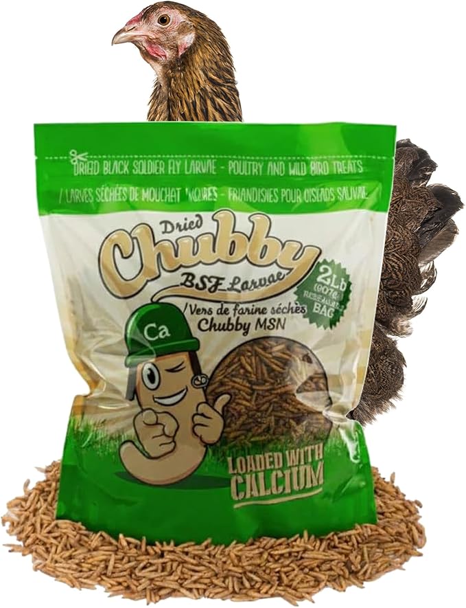 Chubby Dried Black Soldier Fly Larvae | 2 lbs | Non-GMO High-Protein Insect Treat for Chickens, Ducks & Wild Birds – Calcium-Rich Chicken Feed