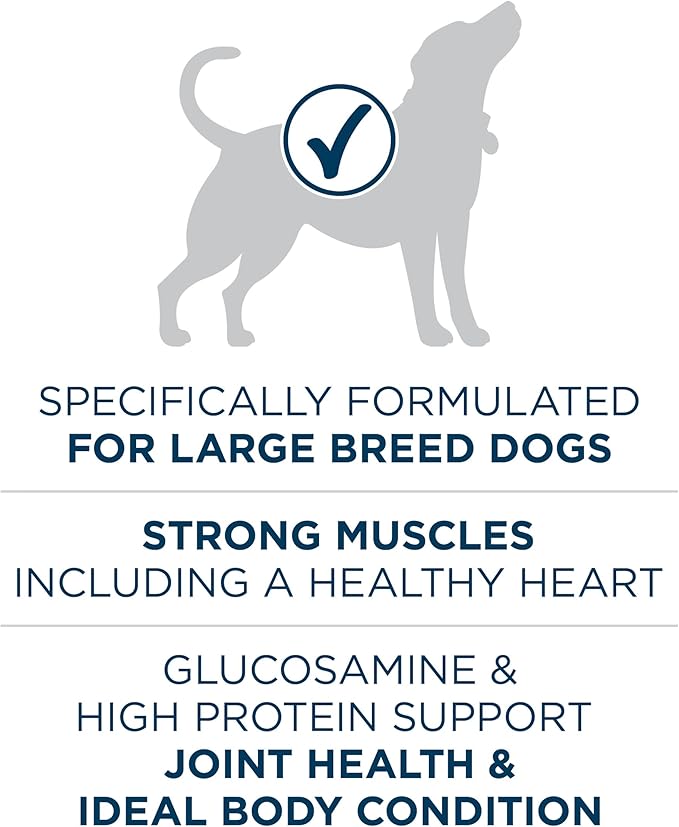 Purina One +Plus Dry Dog Food for Large Adult Dogs High Protein, Real Chicken - 31.1 lb Bag