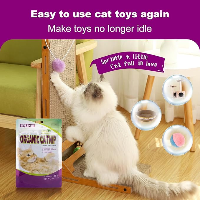 Organic 100% Natural Catnip Cattle Grass Mint Taste Funny Cat Toy New Cat Toy Interactive Cat Toys Pet Supplies