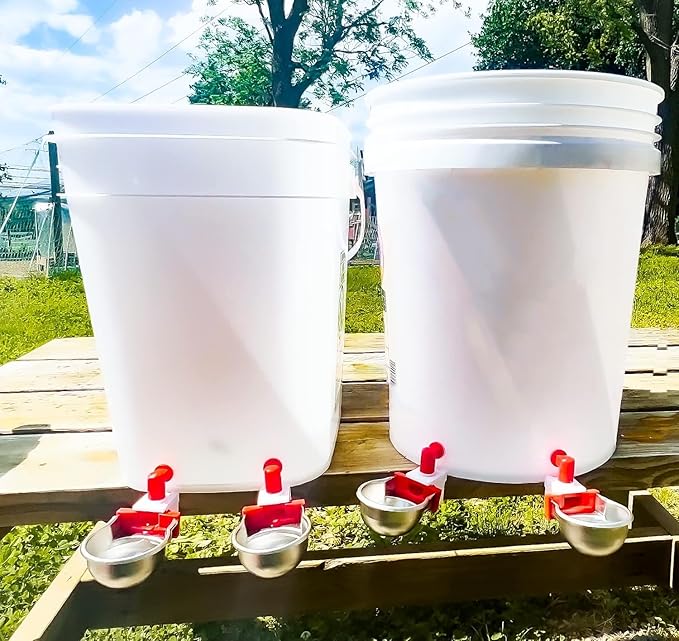 RAC Paws by RentACoop DIY Auto-Fill Metal Cups Waterer Kit - Great for Small Animals, Pets, Bunnies, Ferret, Chickens, Hamsters, Guinea Pigs, Rabbits, Chinchillas, Mice, Rats - 6 Pack