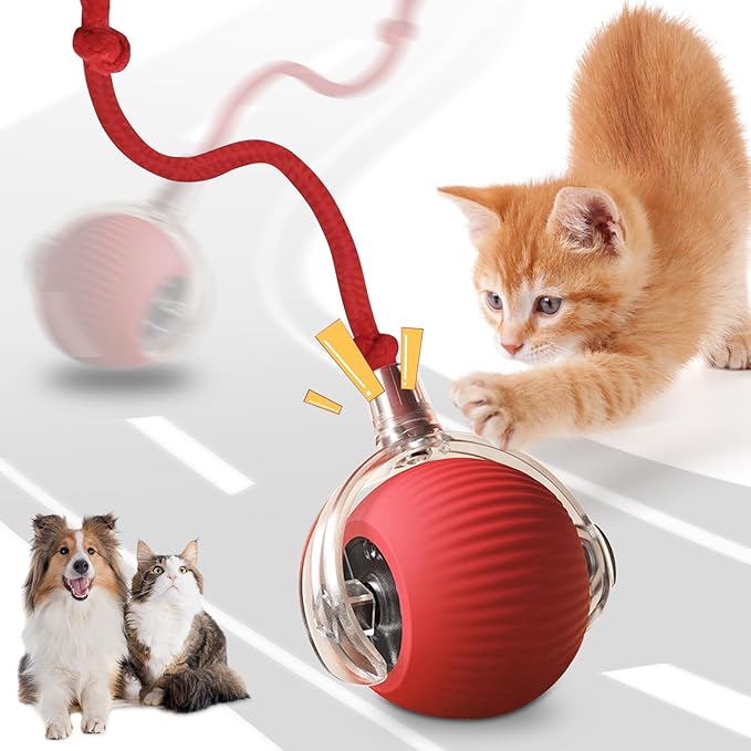 Interactive Dog Ball, Electric Cat Ball, cat Toys for Bored Indoor Adult Cats, Interactive Cat Toys for Indoor Cats, Interactive Dog Toys