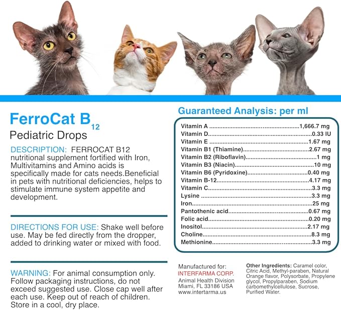 Ferrocat B12 Stimulates Immune System Appetite and Development in Adult Cats and Kittens