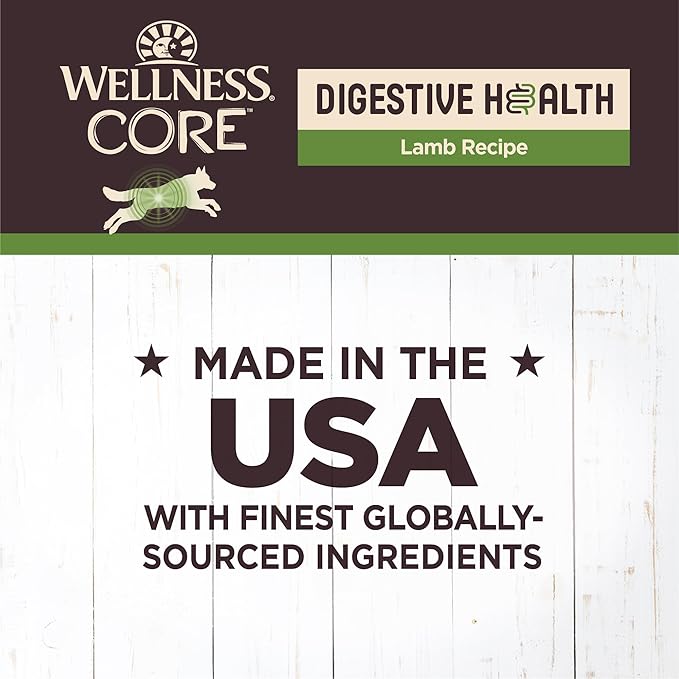 Wellness CORE Digestive Health Pate Adult Canned Wet Dog Food, Grain Free, Sensitive Stomach, Natural, Lamb Recipe, 13 oz, Pack of 12 Cans