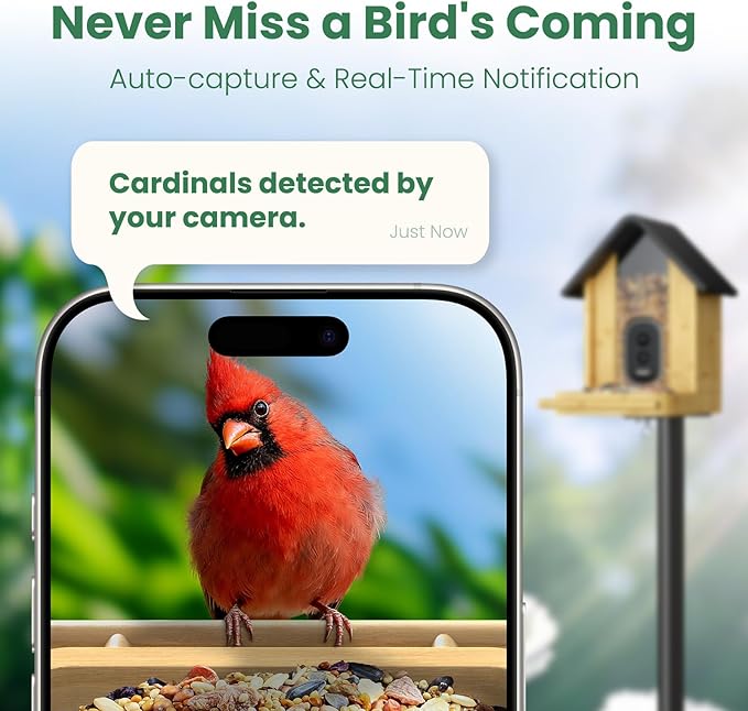 Smart Bird Feeder Camera with Solar Panel (Bamboo), 2.5K UHD AI Identification, Real-time Videos & Pictures, Wireless Solar Powered Outdoor, Ideal Garden Decor & Bird Watcher, Gift for Dad