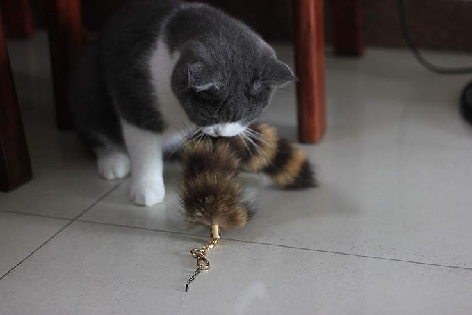 Fosrion Real Raccoon Tail Fur Dog Bites Toy with Three Section Retractable Carbon Fiber Rod (Raccoon Tail)