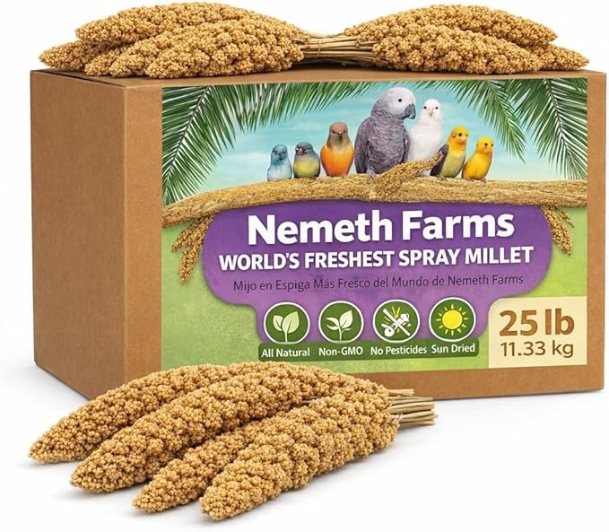 Nemeth Farms Spray Millet - Edible Tops Only, Non-GMO and Sun-Dried - 25 lbs Bulk for Parakeets, Cockatiels and Parrots