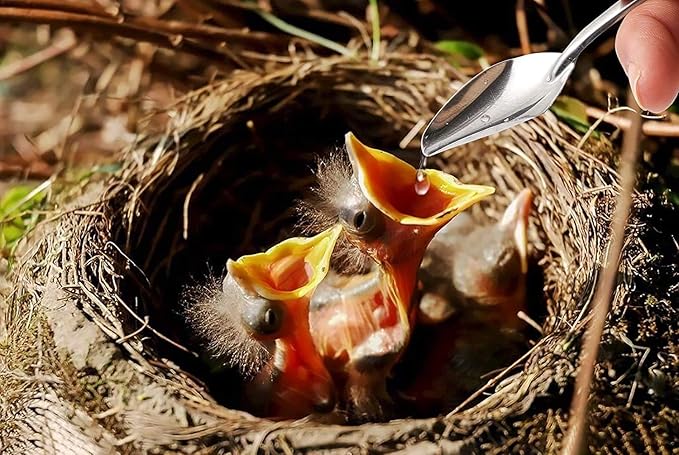 60ML Baby Bird Parrot Feeding Tubes, Liquid Medicine Feeder Push-Tube Pet Cat Dog Feeder with 2 Pcs Stainless Steel Metal Feeding Spoon