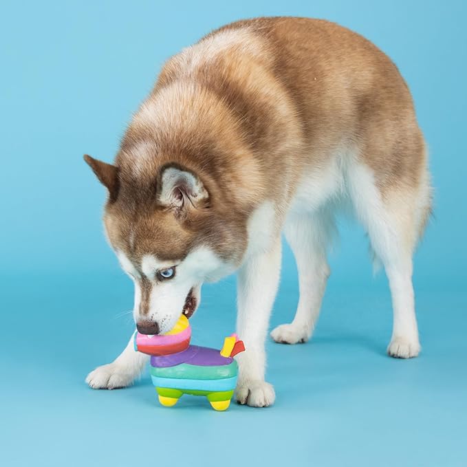 Fringe Studio Dog Toy, Life's A Paw-Ty, Latex, Pet Shop Collection (366012)