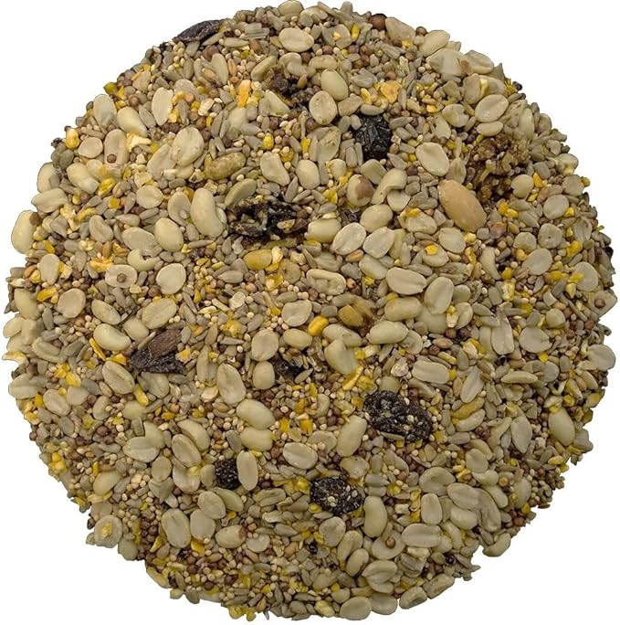 Bird Pro Classic Bird Seed (10 Pounds, Classic No Mess)