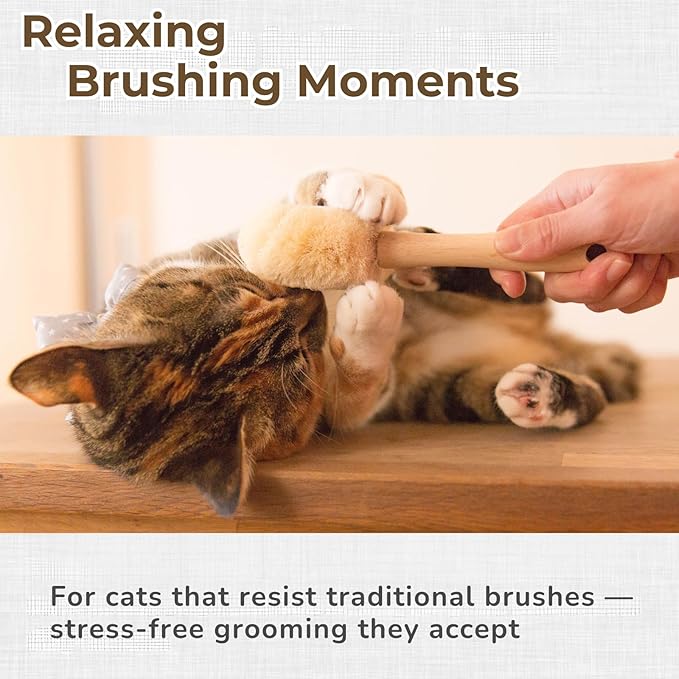 Wablade Cat Brush, Gentle Grooming Brush for Sensitive Cats & Kittens – Soft Grooming & Massage, Gently Removes Loose Surface Fur (Not a Deshedding Tool), Sisal, Made in Japan (Type-A)