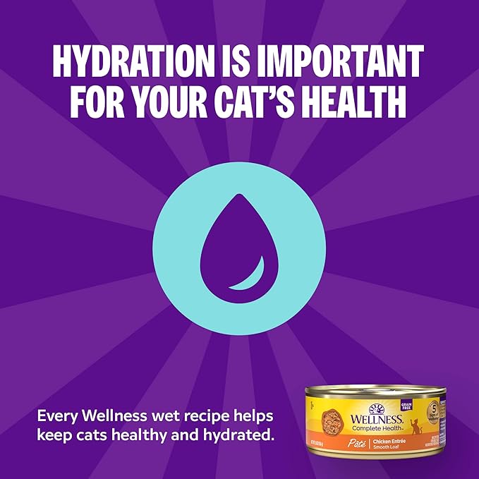 Wellness Complete Health Gravy and Minced Variety Pack Adult Canned Wet Cat Food, Natural, Protein Rich, Grain Free, Salmon, Tuna, and Chicken Recipes, 3 oz, Pack of 12 Cans