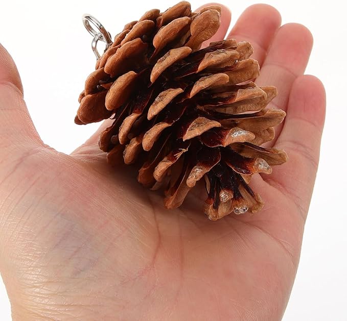 POPETPOP Hanging Parrot Chewing Toy Natural Pine Cone Bird Cage Toy for Foraging and Beak Exercise Durable Bite-Resistant Plaything for Parakeets Cockatiels Conures